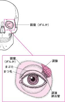 アラジンの玉手箱