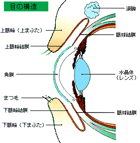 アラジンの玉手箱